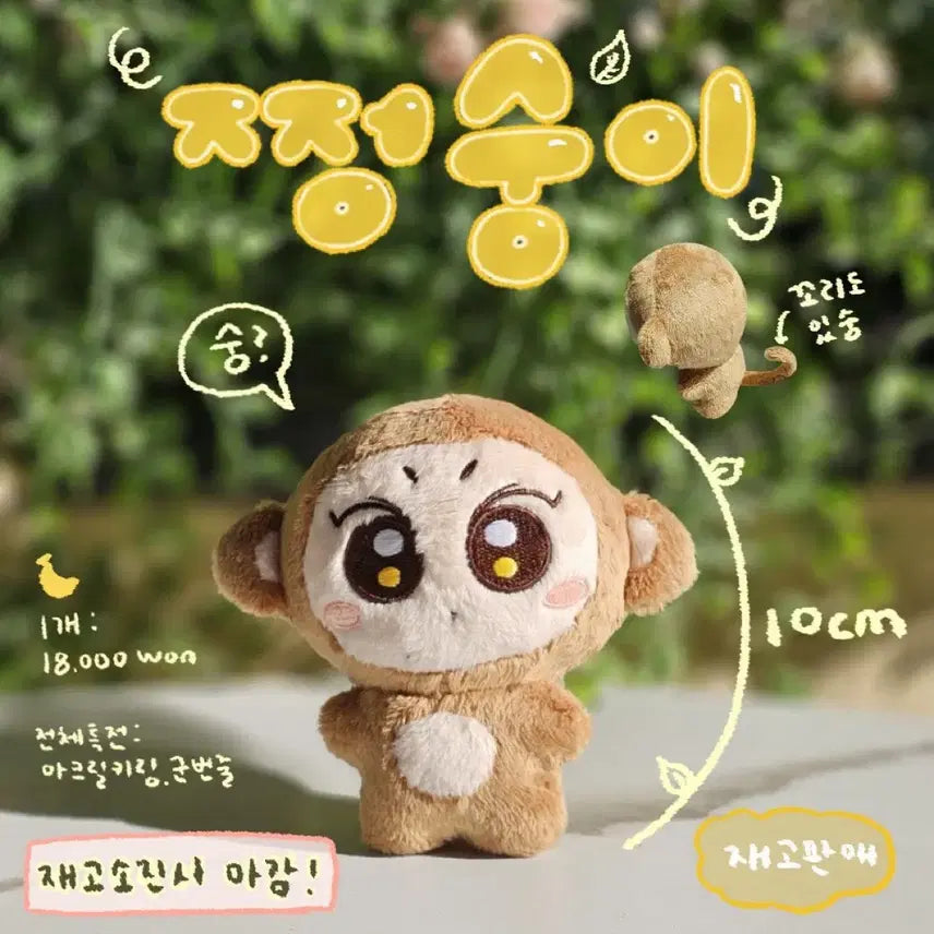 엔하이픈 정원 쩡숭이 양도