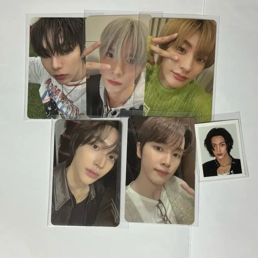 라이즈 포카 일괄 라이즈 원빈 은석 쇼타로 앤톤 소희 성찬