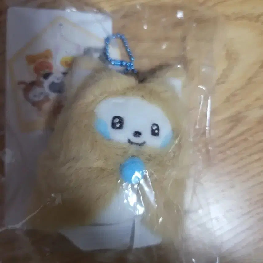 제로베이스원 규니니 제로니 김규빈