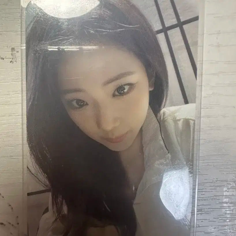 베이비몬스터 루카 we go up 올리브영 포카