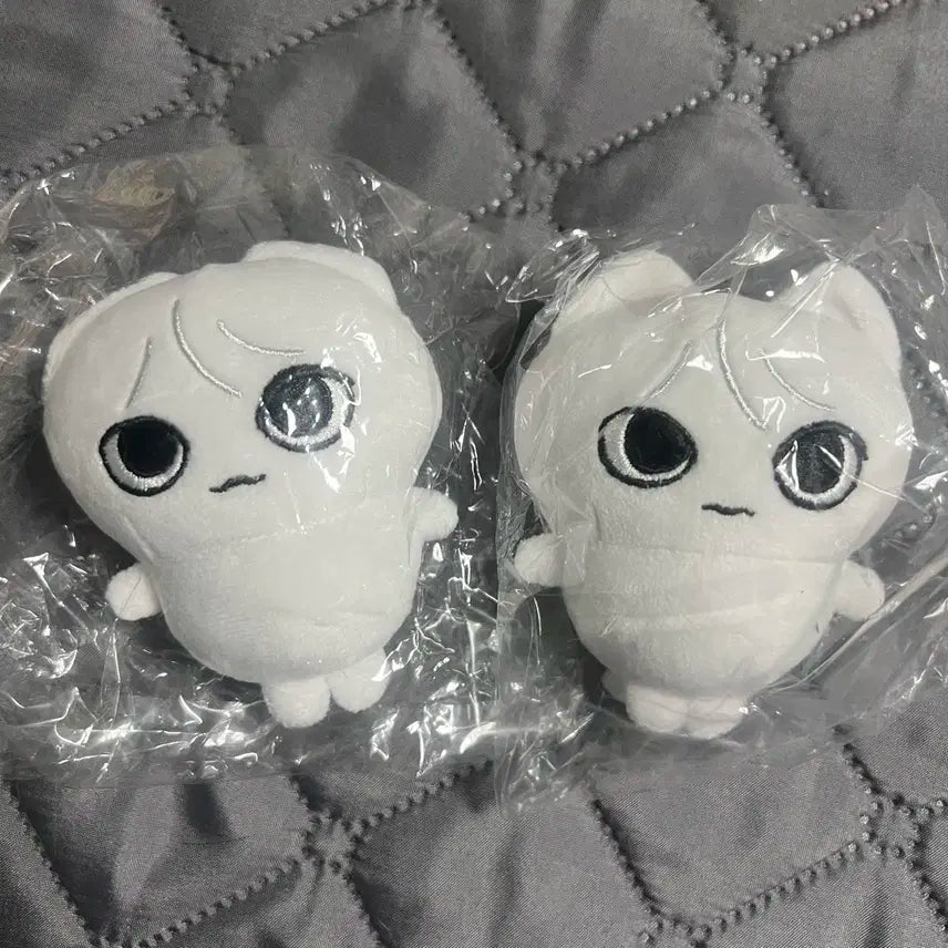 호쪼그 인형 양도 보넥도 성호 앨범 포카 특전