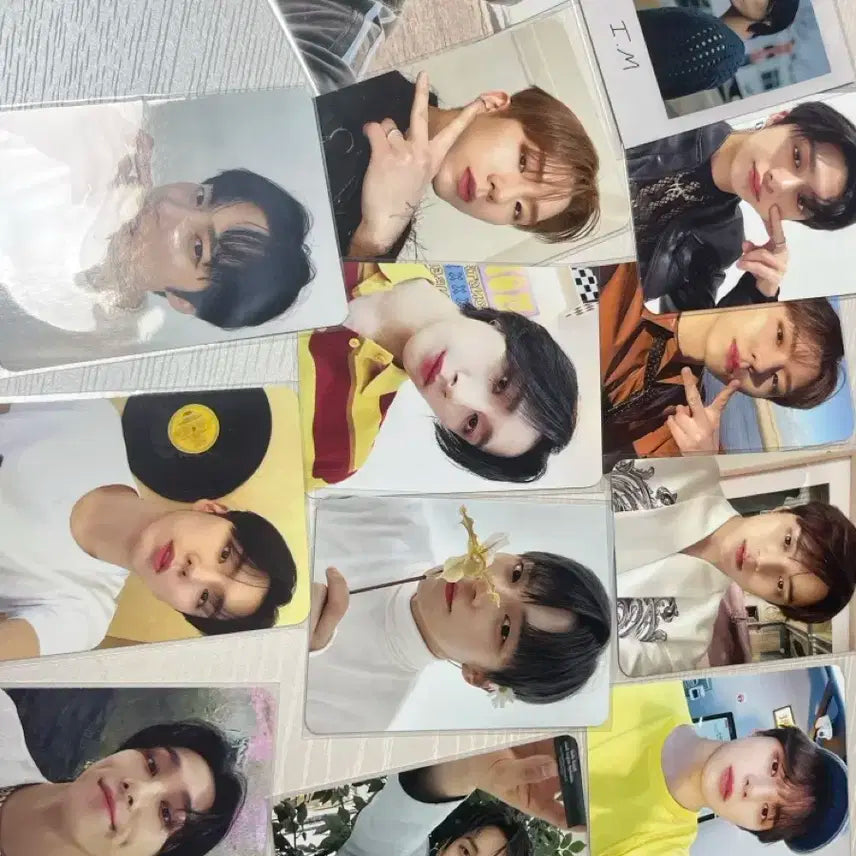 몬스타엑스 포카 일괄 판매