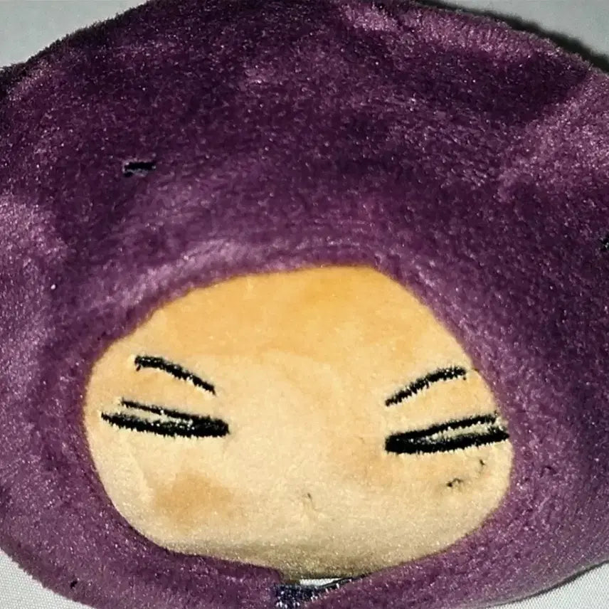 엔하이픈 제이 인형 쫑테이토