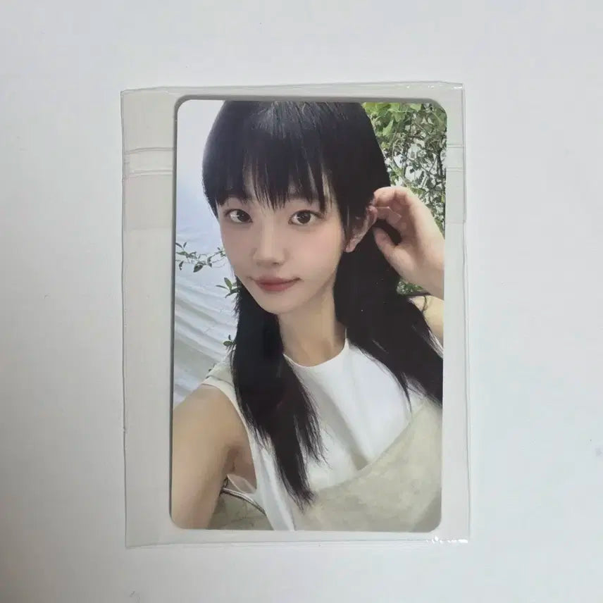 미개봉)QWER 알고리즘 블라썸 알블 위버스 쵸단