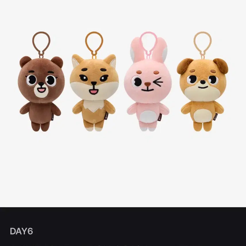 데이식스 데니멀즈 윙크 필끼 윙끼