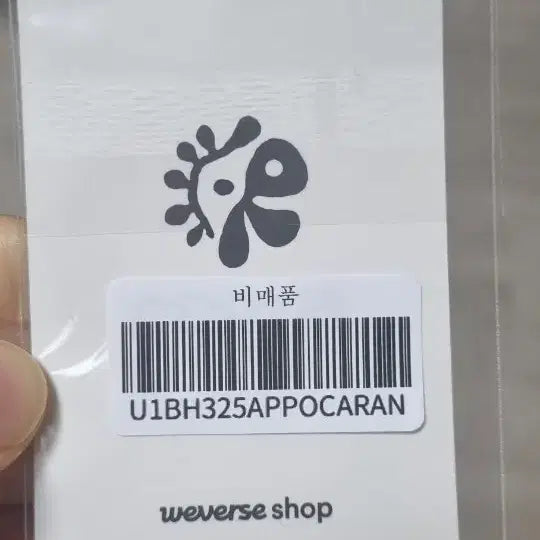 코르티스 주훈 포카