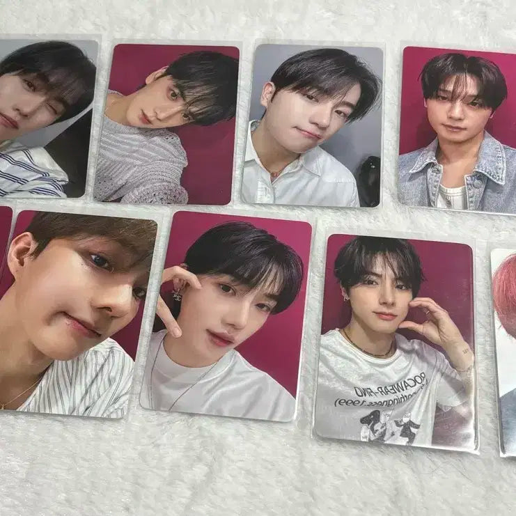 더보이즈 콘서트 입장포카