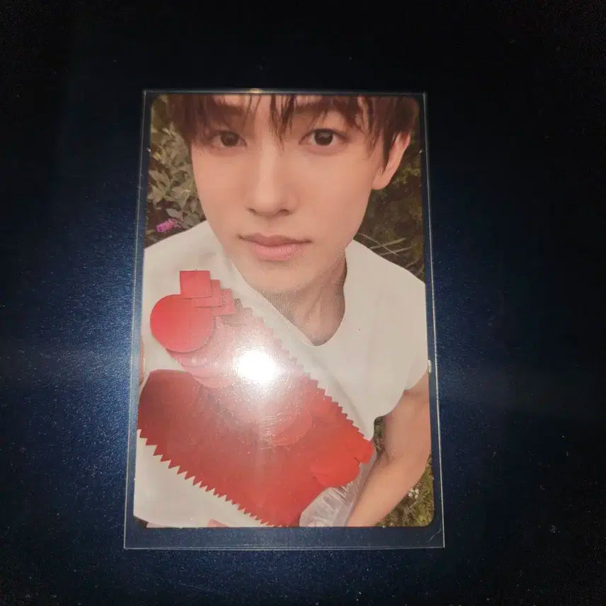 코르티스 성현 엄성현 타겟 미국 포카 포토카드