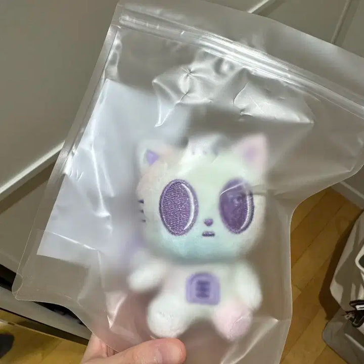 투바투 팝업 뿔바투 다고냥 레인보우