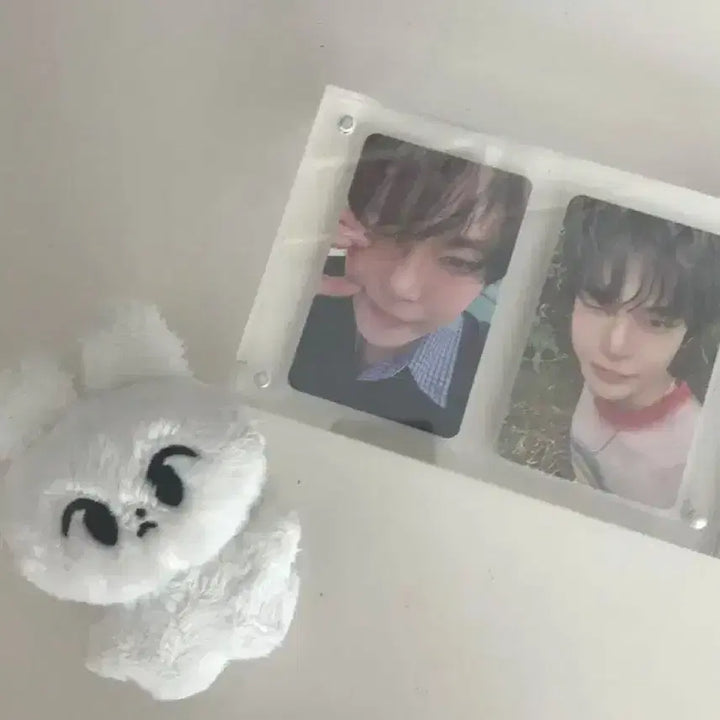 엔시티127 도영인형 하또 양도