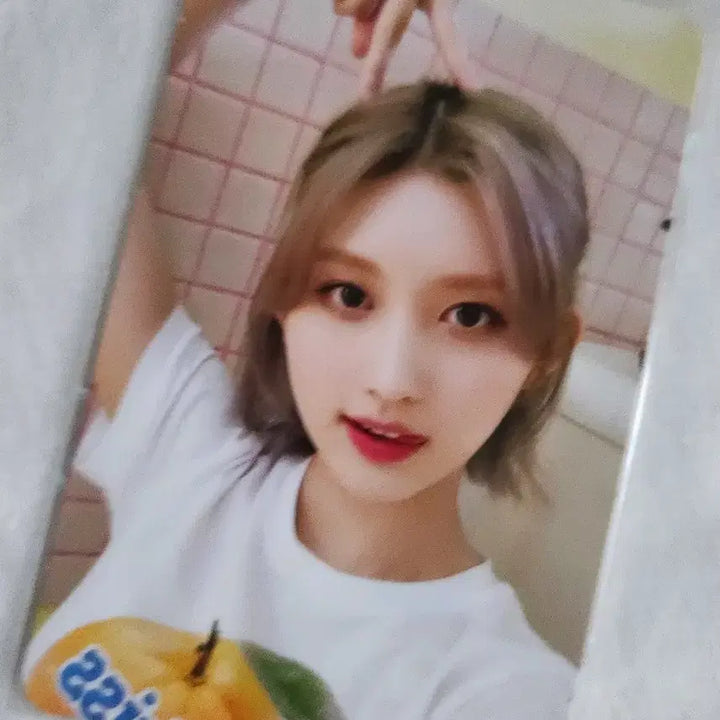 IVE아이브 2023시즌그리팅 포카 -가을-