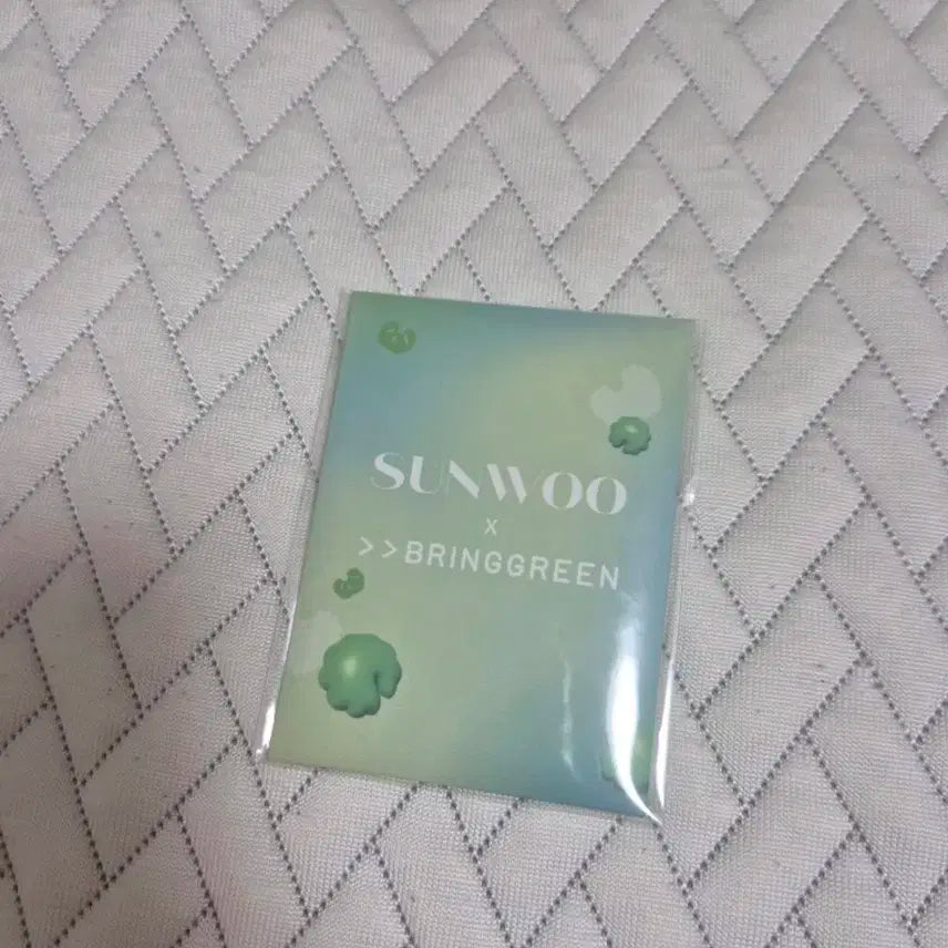 반택포0.4 미개봉 브링그린 선우 포토카드