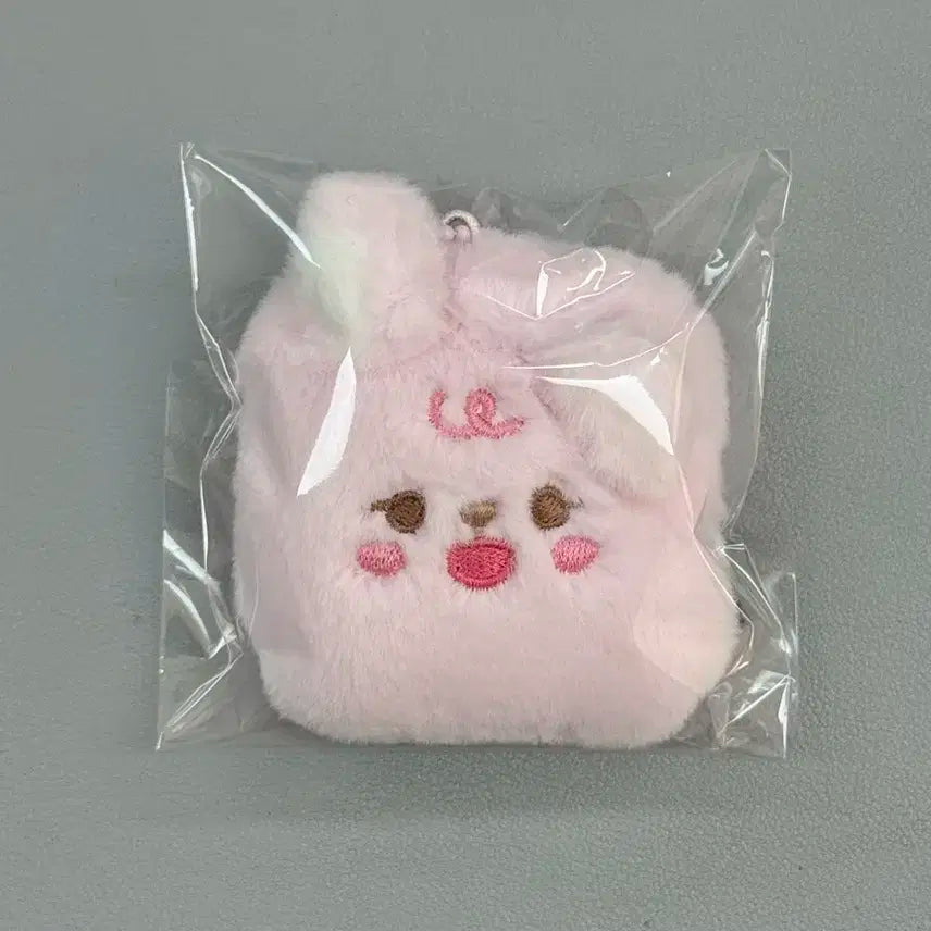 데이식스 아이디 포토 홀더 필끼 새 상품 + 타로컨페티