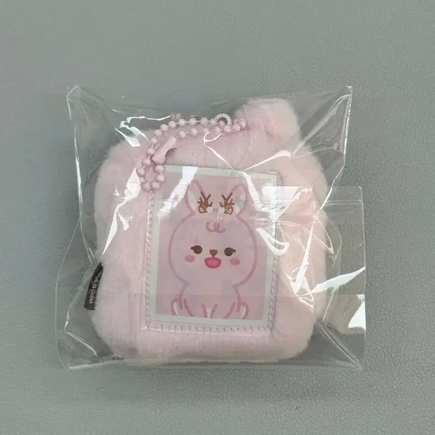 데이식스 아이디 포토 홀더 필끼 새 상품 + 타로컨페티