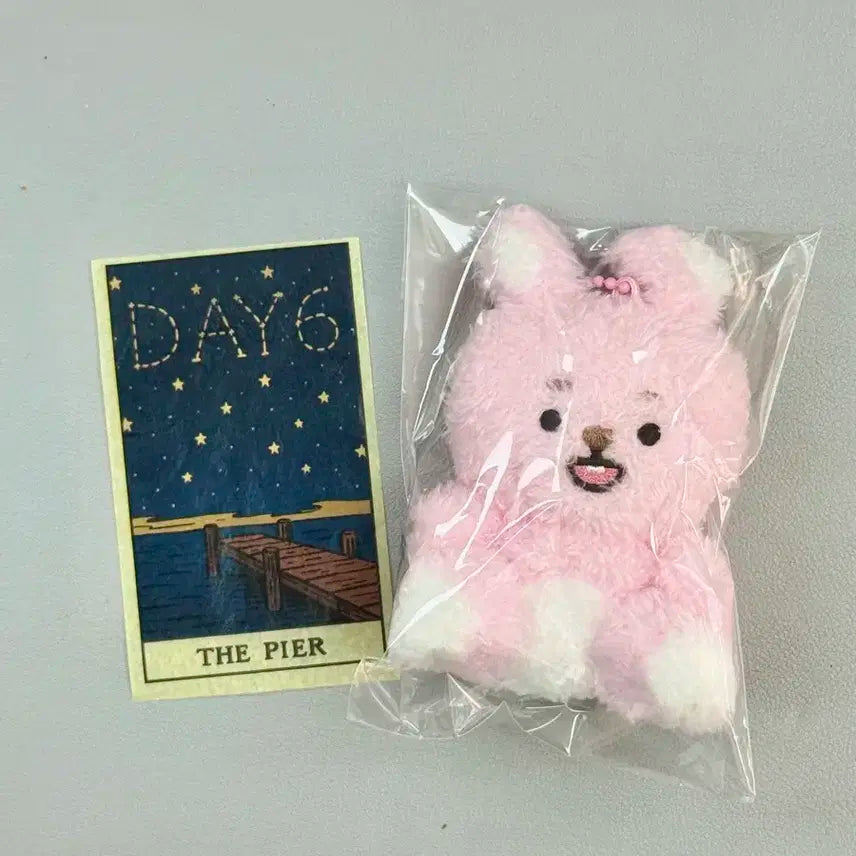 데이식스 앉은필 필끼 새 상품 + 타로컨페티