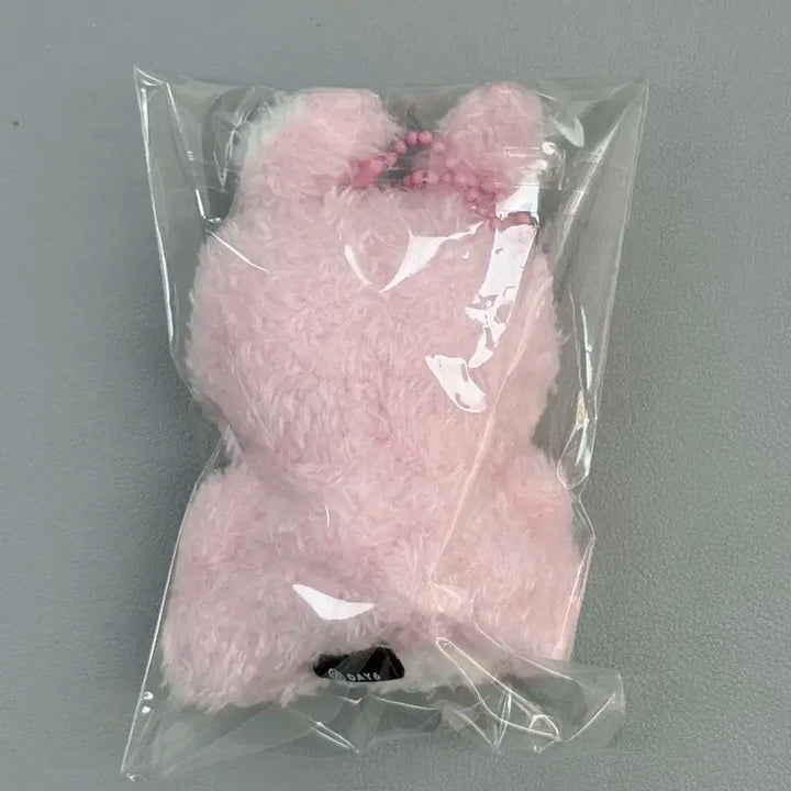 데이식스 앉은필 필끼 새 상품 + 타로컨페티