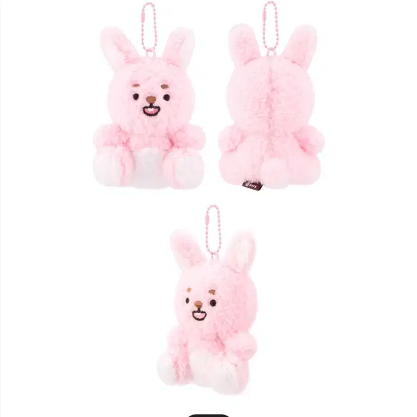 데이식스 앉은필 필끼 새 상품 + 타로컨페티