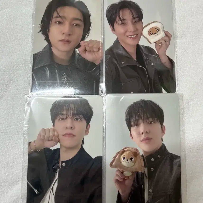 데이식스 포에버영 피날레 포카 일괄