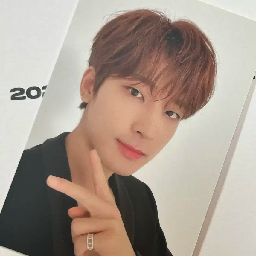 세븐틴 2021 시즌그리팅 포카