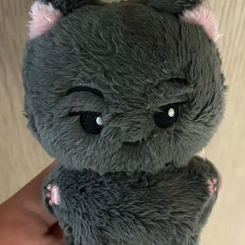 미국냥 엔하이픈 제이 인형 양도