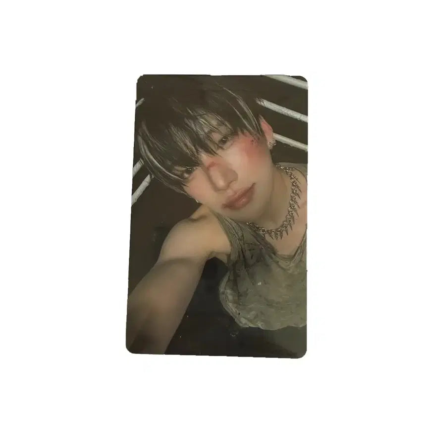 앤팀 유마 백투라 위버스 미공포