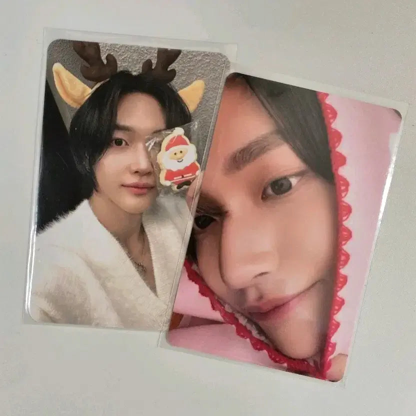 라이즈 riize 원빈 크리스마스 포카 일괄