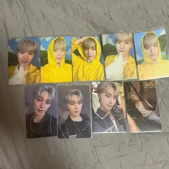 세븐틴 디노 헤븐 포토카드 일괄