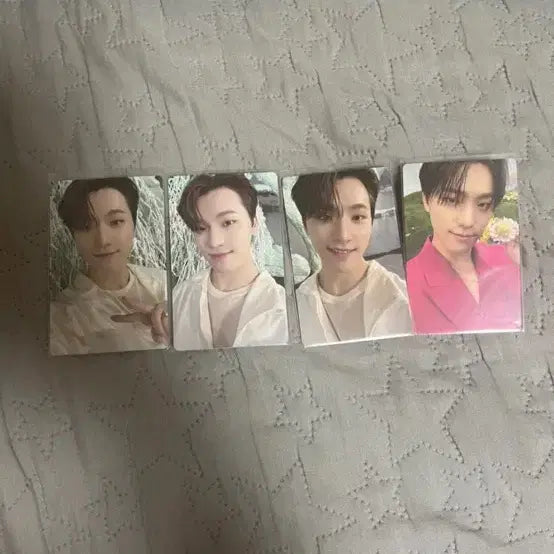 세븐틴 디노 섹터 포토카드