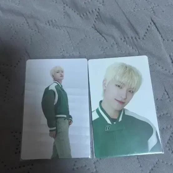 세븐틴 디노 트레카 일괄