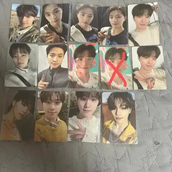 세븐틴 디노 페더썬 포토카드