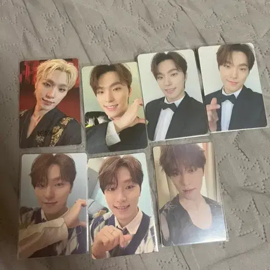 세븐틴 디노 포토카드 7장 세트