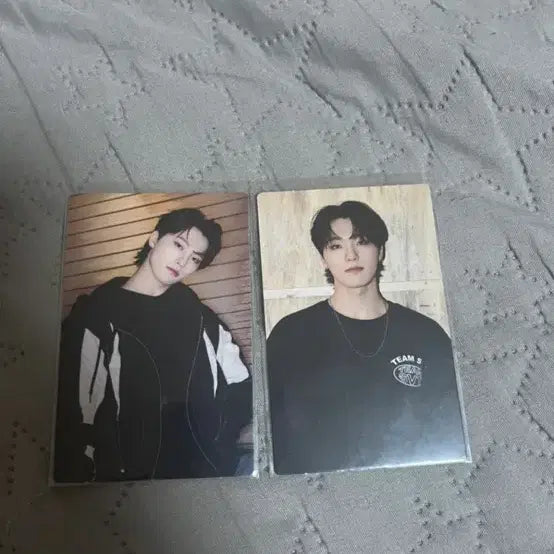 세븐틴 디노 트레카 포토카드 2장