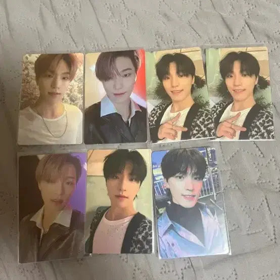 세븐틴 디노 아타카 포토카드 일괄