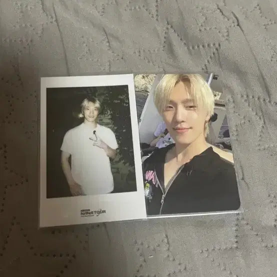 세븐틴 디노 나나투어 양도