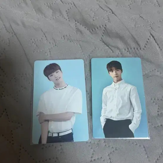 세븐틴 디노 트레카 양도