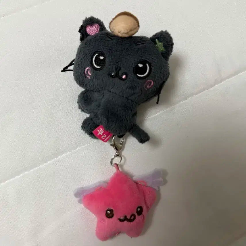 엔티시 위시 미니돌 쿠리