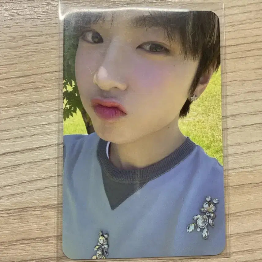 사쿠야 엔시티위시 송버드