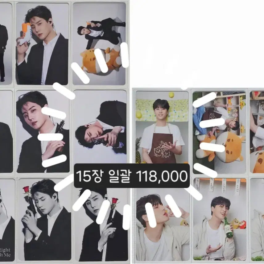 데이식스 이오데 트레카 영케이 포카 15장