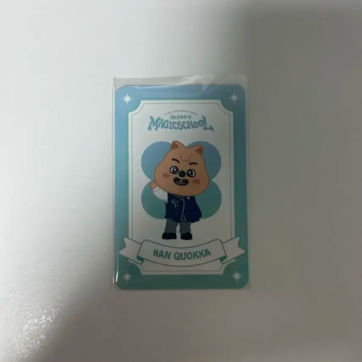 스키주 부산 팝업 한쿼카 부적