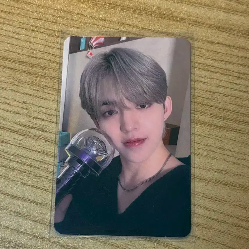 세븐틴 쿱스 캐럿랜드 캐럿존