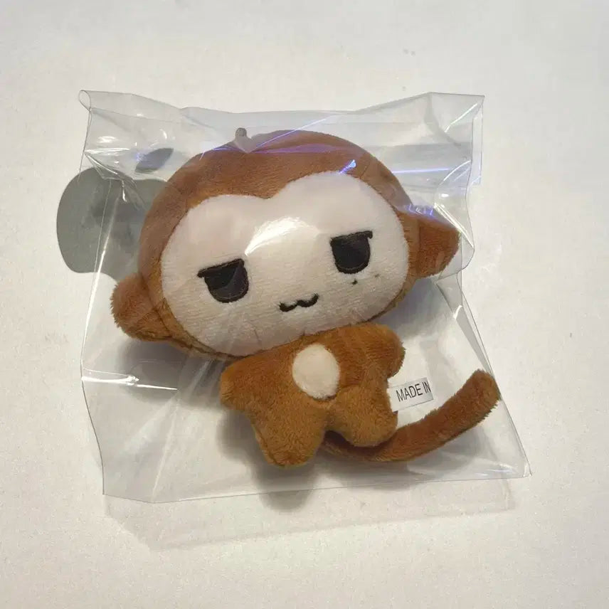 엔시티 위시 유우시 인형 윳끼끼