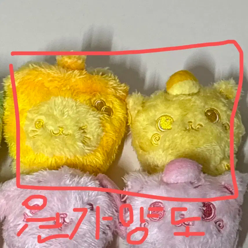 엔시티위시 위시돌 컬러돌 노랑 옐로우 쿠리 버블냥 원가 양도