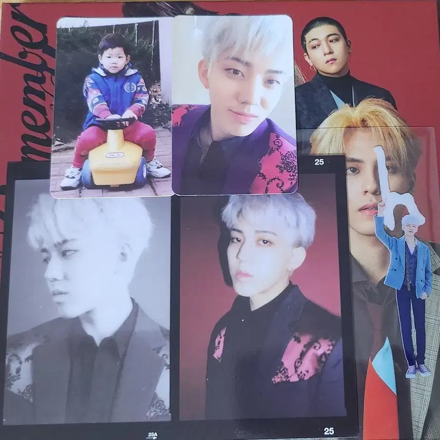 데이식스 리멤버어스 행날 도운 아기포카