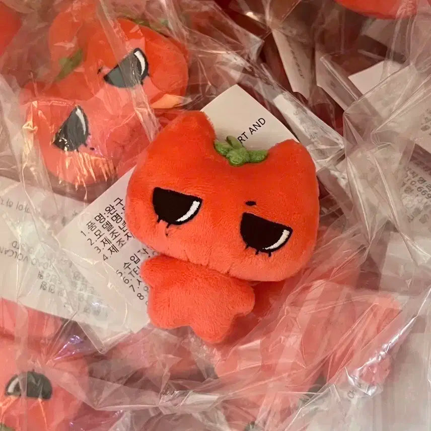 보이넥스트도어 태마태 한티냐 태산 인형 보넥도