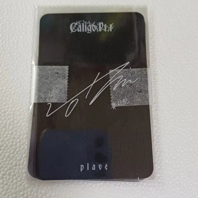 플레이브 케타포 미공포 5인 일괄