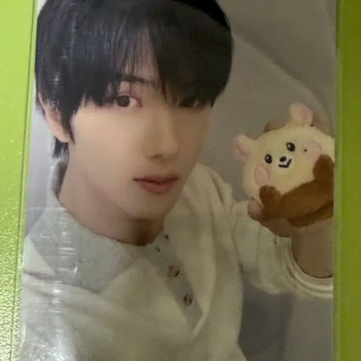 엔시티 드림 지성 밤찌 인형 양도