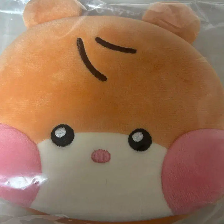 제베원 성한빈 비니니 파우치(포카xxxx)