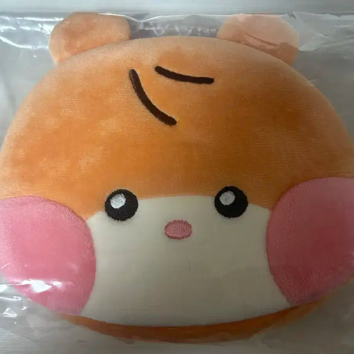 제베원 성한빈 비니니 파우치(포카xxxx)