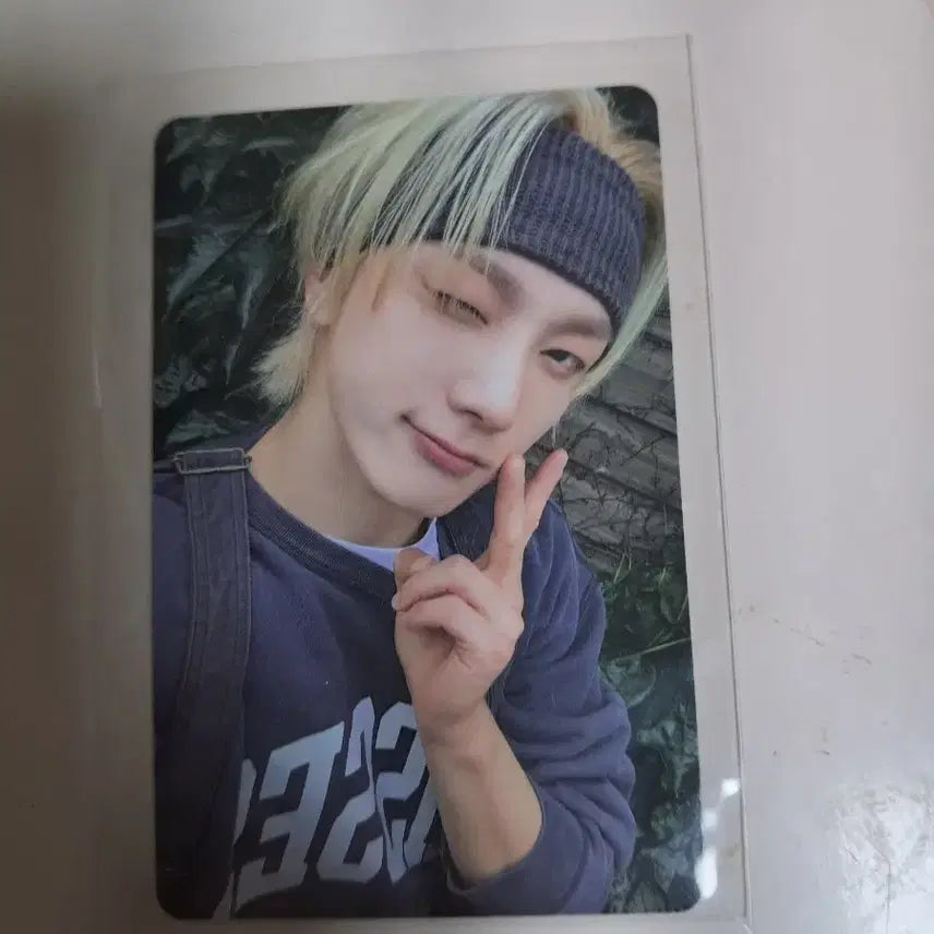 보넥도 성호포카