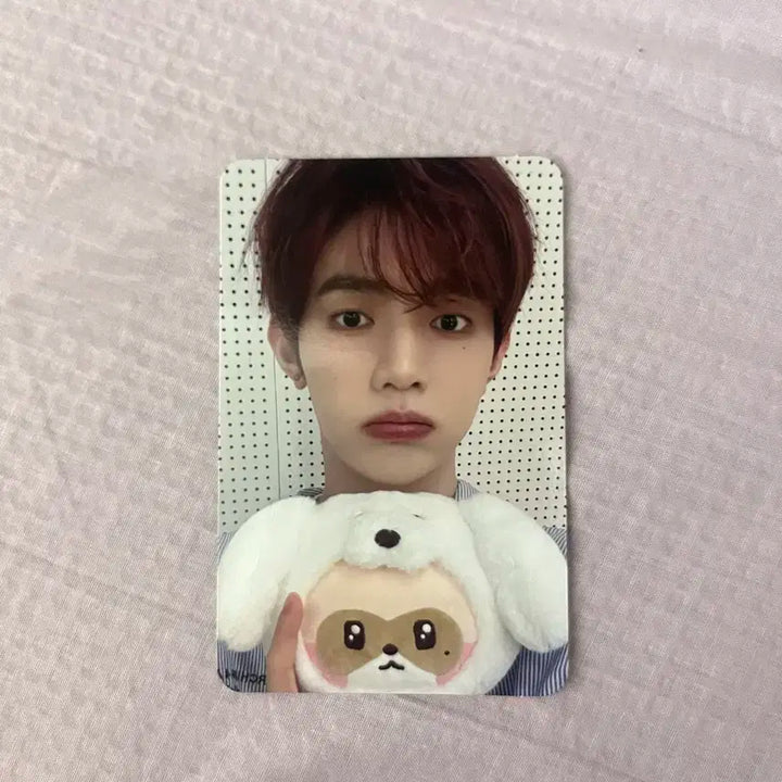 제베원 제로니 팝업 5만원포카 장하오 하니니